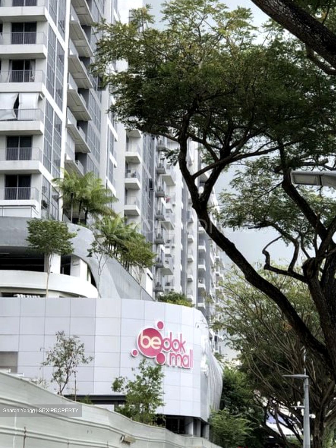 Chai Chee Avenue (Bedok),  #420365271